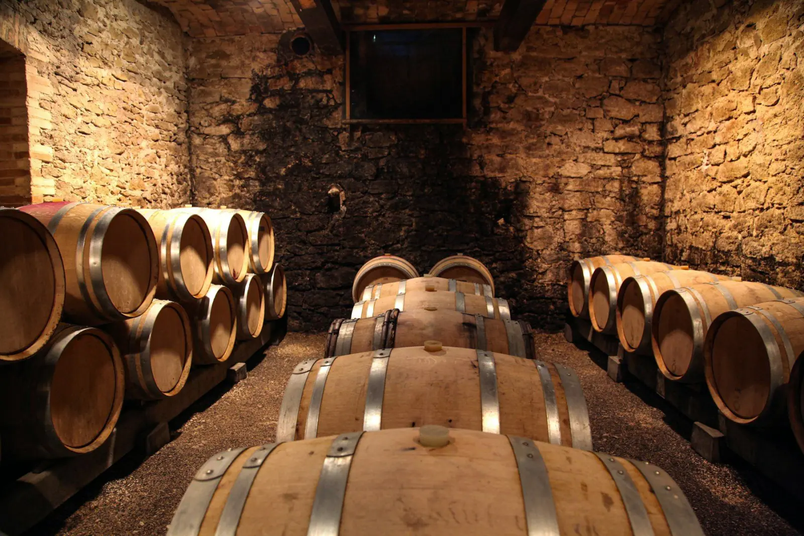 Cave à vin et ses fûts de chêne
